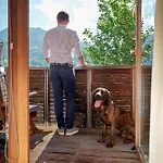 Aktiv & Alpenrose Hotel Schruns