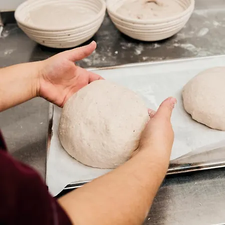 Aktiv & Alpenrose Hotel