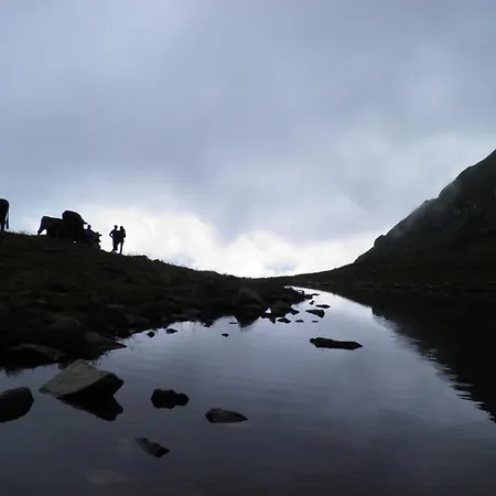 Aktiv & Alpenrose 4* Schruns