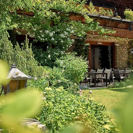 Aktiv & Alpenrose Hotel Schruns