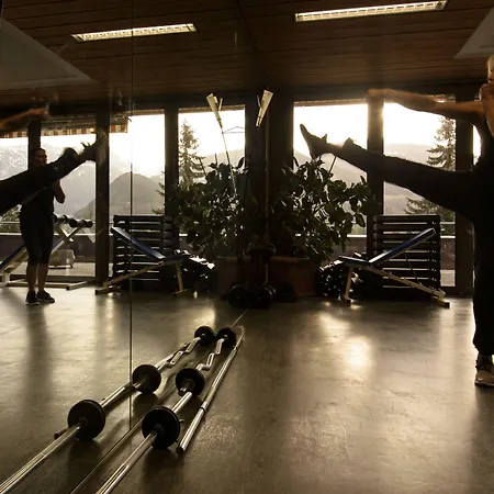 Aktiv & Alpenrose 4*