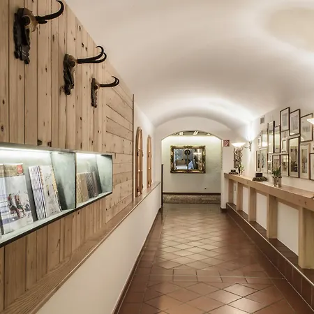 Aktiv & Alpenrose Hotel Schruns