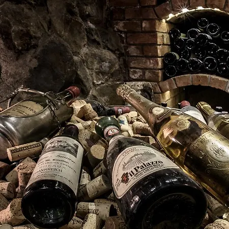 Hotel Aktiv & Alpenrose Schruns