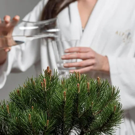 Hotel Aktiv&spa Alpenrose Schruns